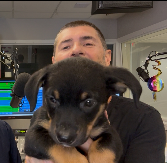 Montgomery Humane Society Weekly Update - Mason episode artwork