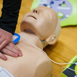 'Bystander CPR can literally double or triple your survival' - Critical care nurse Teri Campbell on the importance of CPR