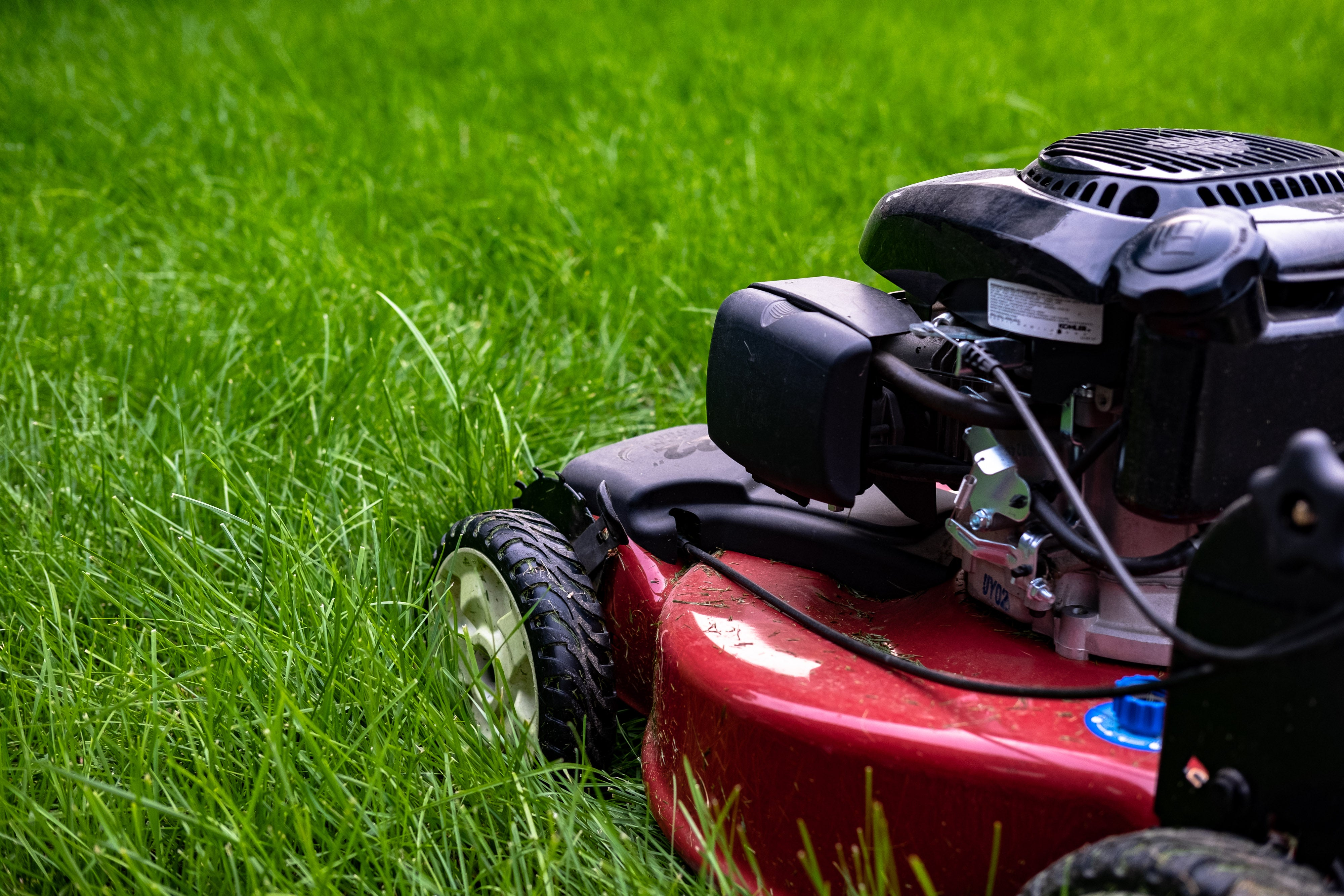Now is the time to prep your lawn for spring