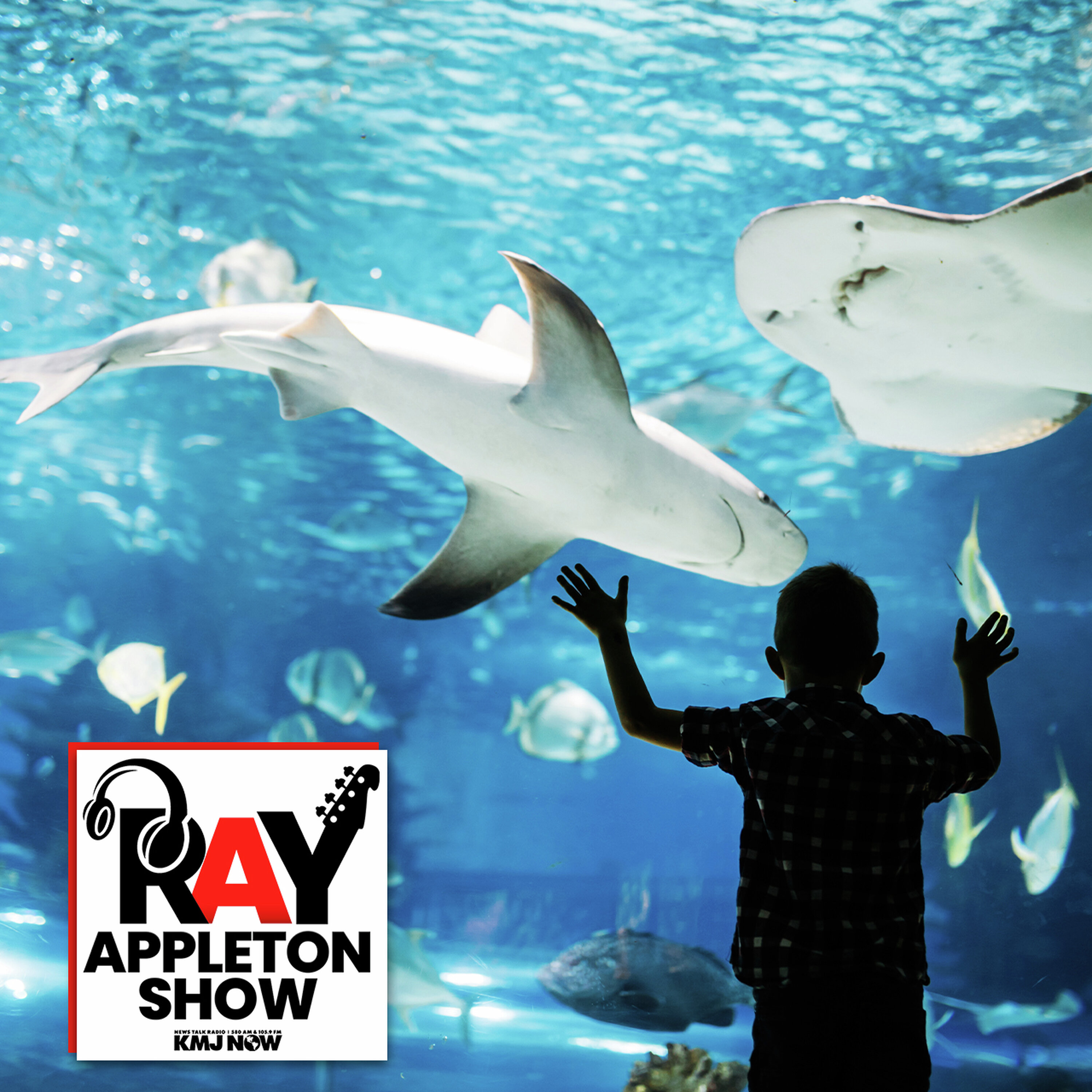 A Deep Dive Into The Fresno Aquarium episode artwork