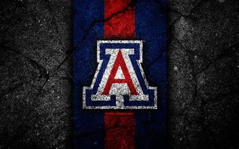 INTERVIEW: Jason Salber -  Arizona Alumni San Diego