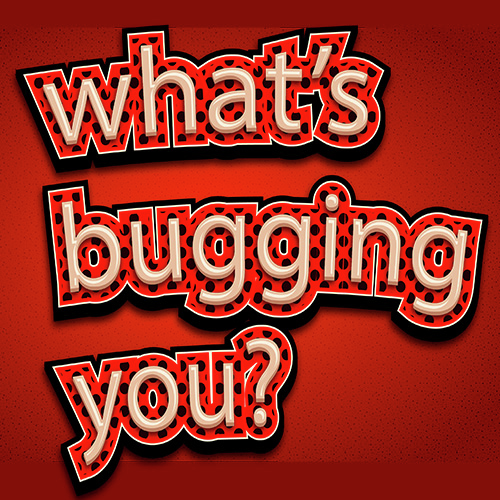 S3E332: WHAT'S BUGGIN YOU | Bartlett neighbors, Rand Paul, Politicians wanting to escalate war episode artwork