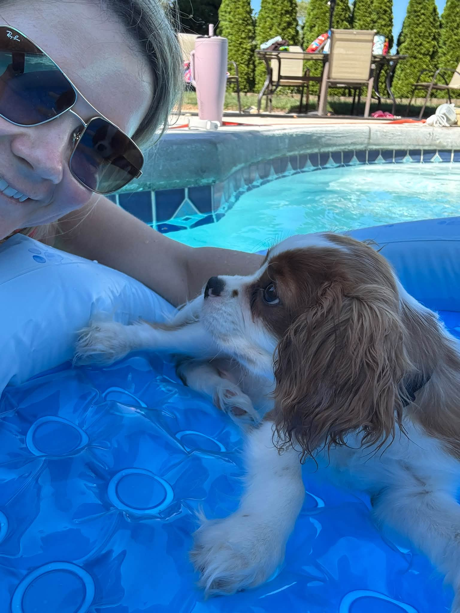 Puppy Winston Loves the Pool but Hates IU episode artwork