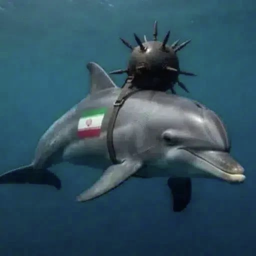 Kamikaze Dolphins - 5-6-26 episode artwork