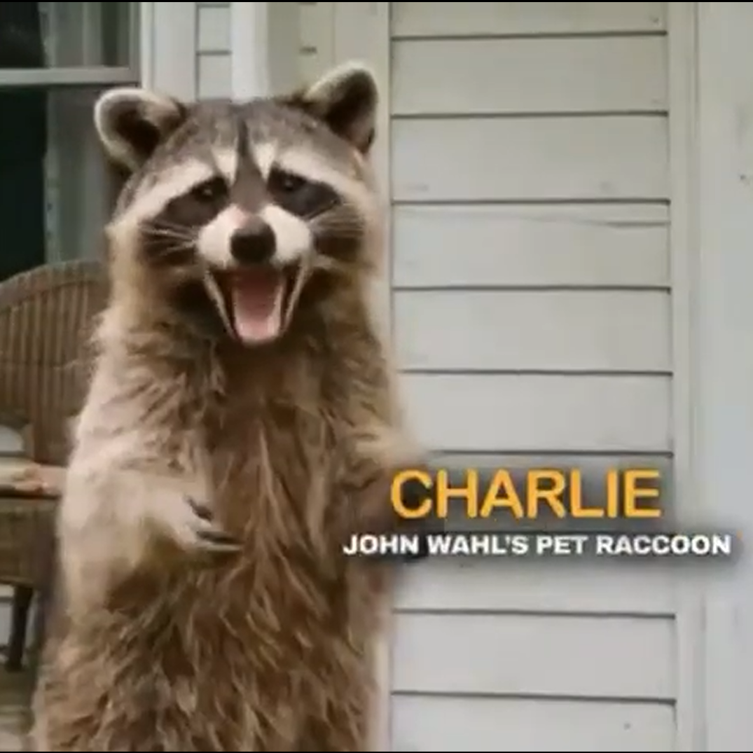 Who Paid John Wahl's Raccoon? - 6-12-26 episode artwork