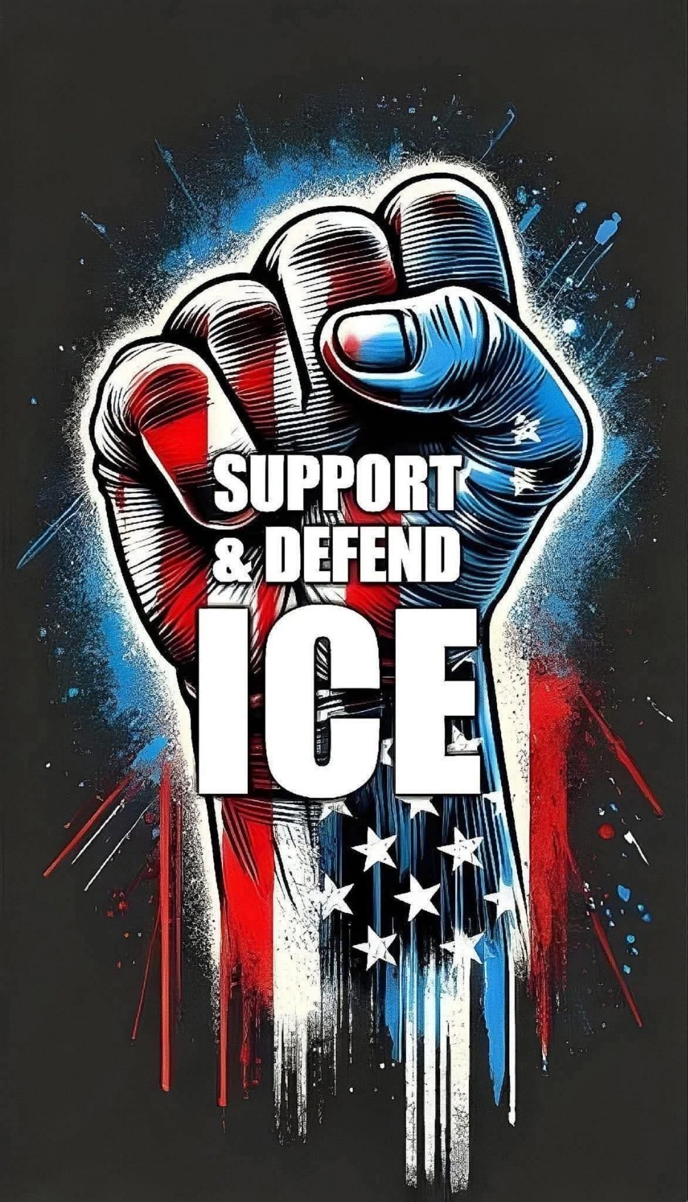 New Cellphone Video Clears Ice Agent: Renee Good’s SUV Struck Him First, Justifying Self-Defense Shooting – As DOJ Probes Whether Soros-Backed Organizations Are Funding Domestic Terrorism - 1-12-26 episode artwork