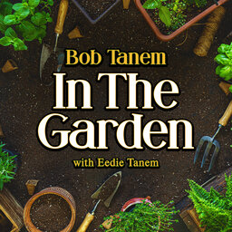 Bob Tanem In The Garden, April 25 2021, 9:00 am