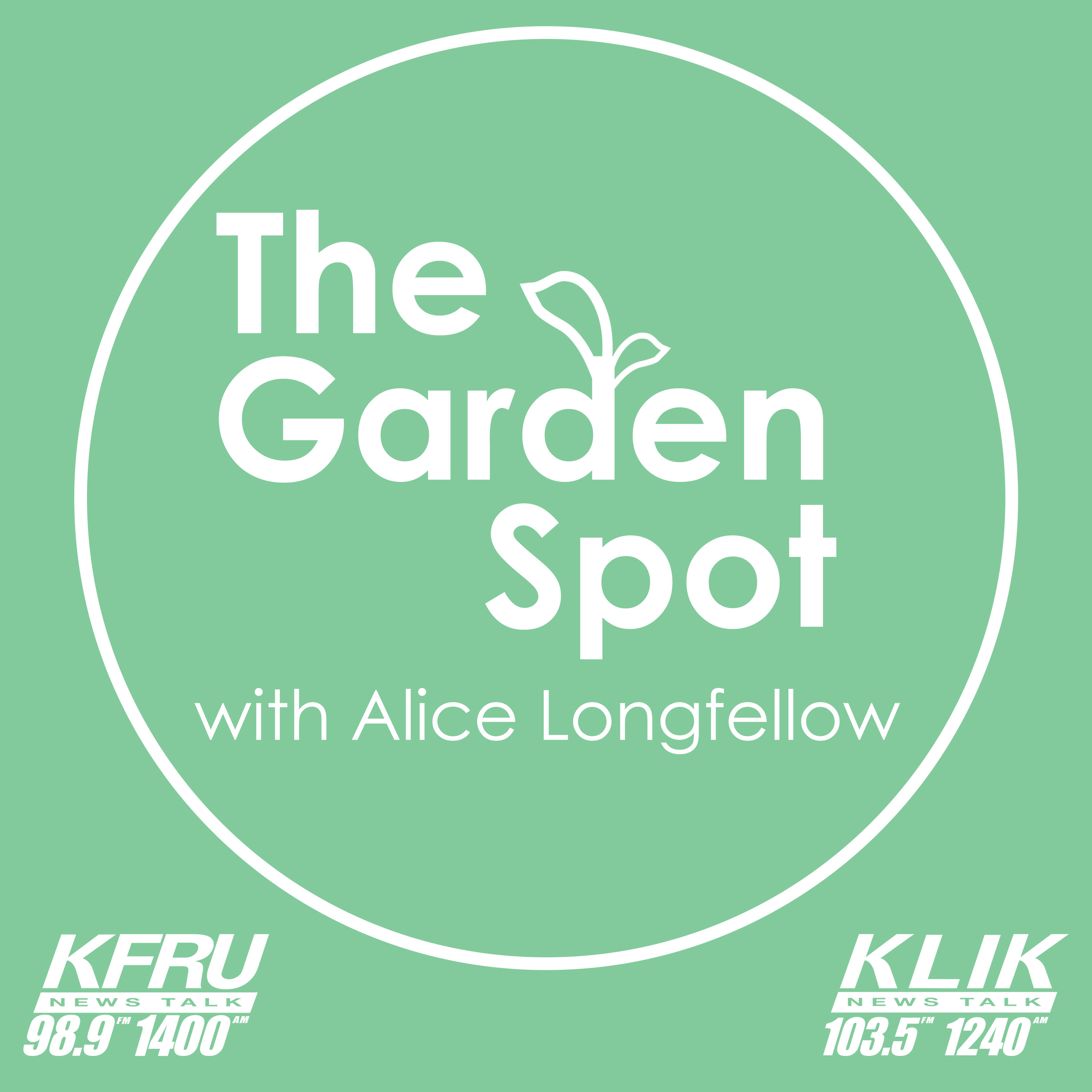The Garden Spot with Alice Longfellow - Good spider / Bad spider