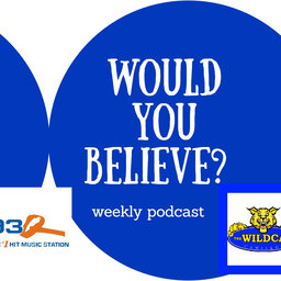 The Would You Believe Podcast with Ted & Amy and Joey Walker! - Episode 2