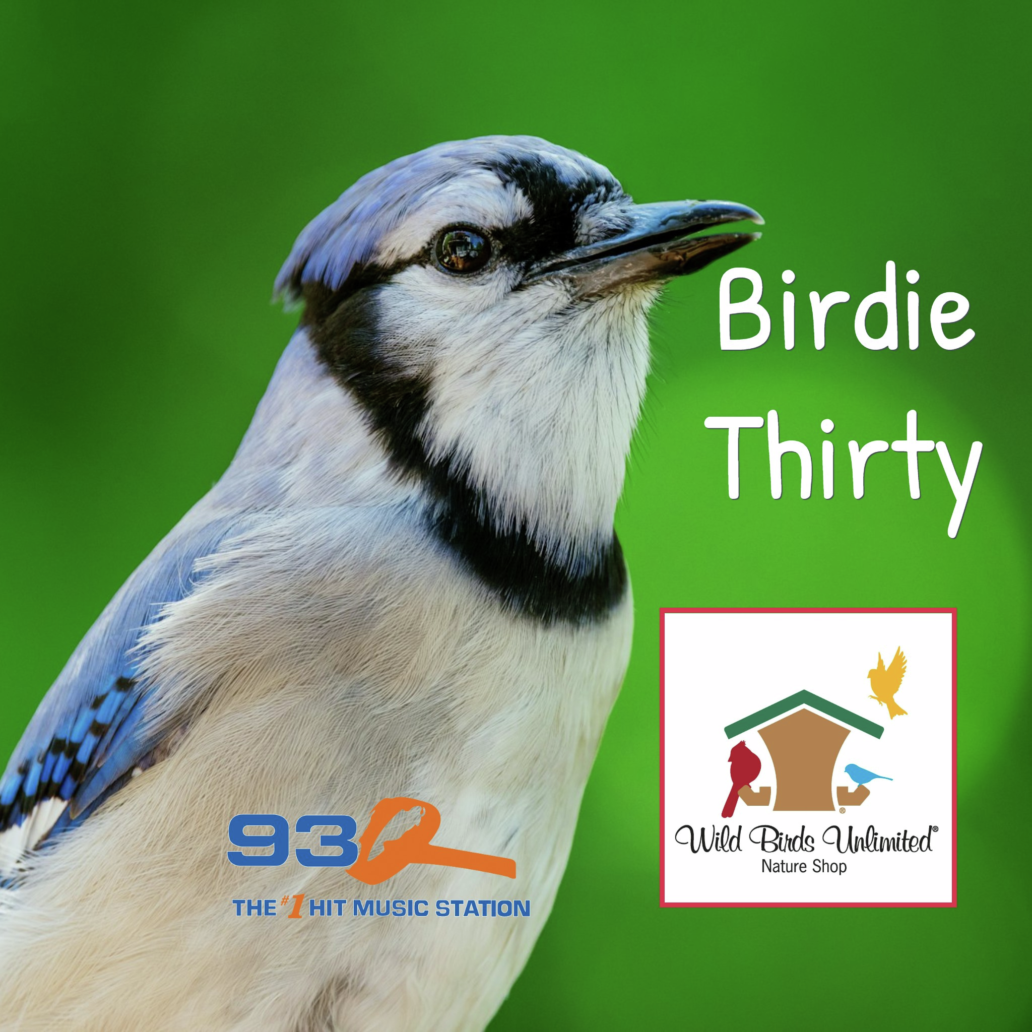 Birdie Thirty Week Three - Blue Jays