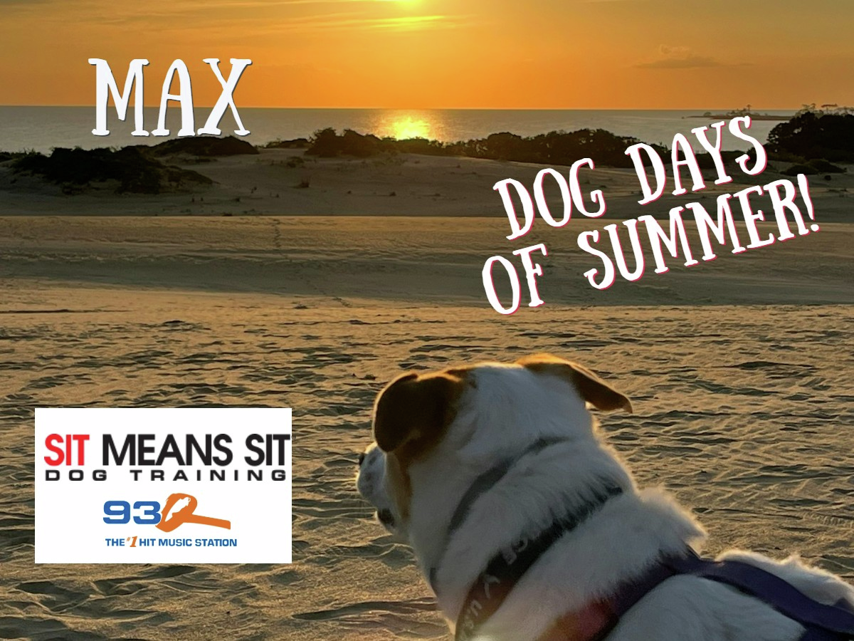 Dog Days Of Summer episode artwork