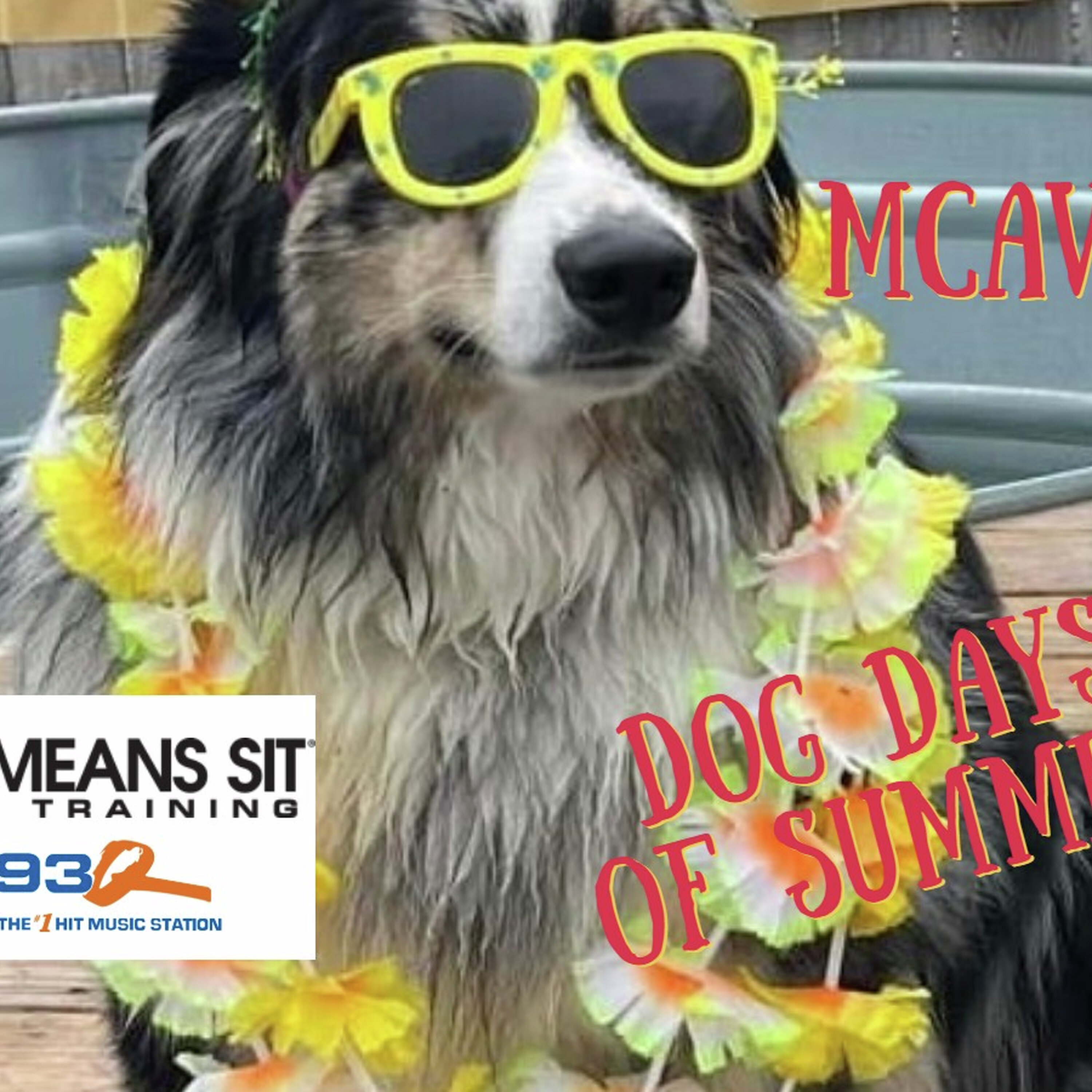 Dog Days Of Summer episode artwork