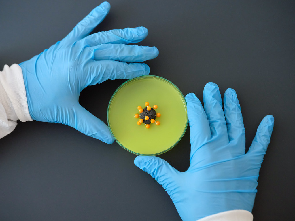 Viral Disruption; The Pandemic That's Rewriting the Global Order