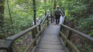 Here are 5 Fayetteville area trails to explore