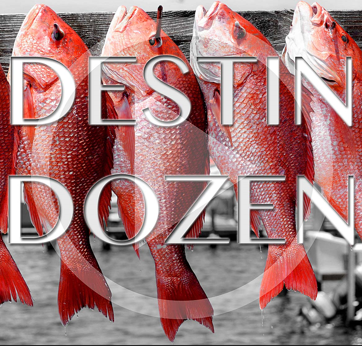 Destin Dozen Episode 13: WWII aircraft, statues and fishing tournaments