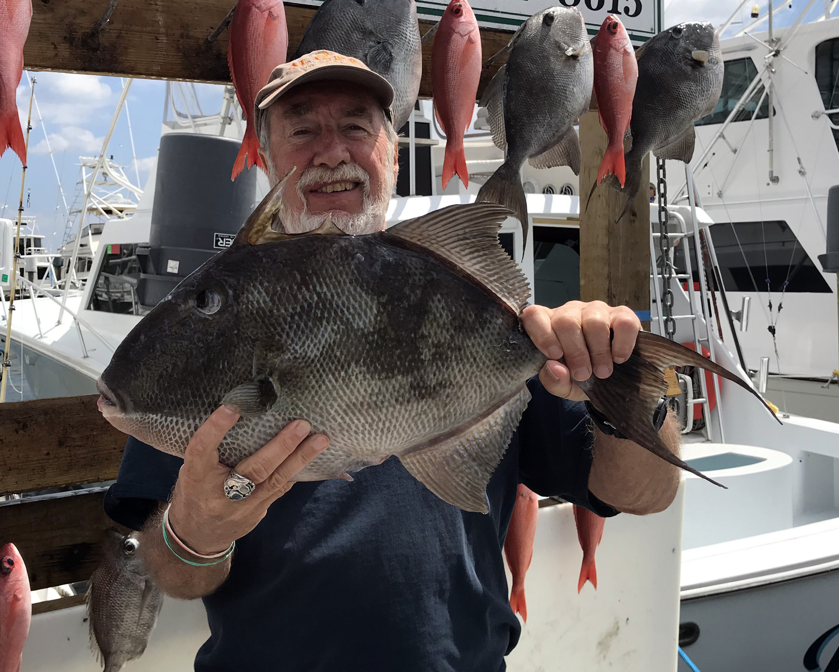 LISTEN: Fishing Report (03.04.20) Triggerfish biting good, cobia around the corner