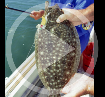 LISTEN: Fishing Report (01.08.20) Flounder still hot, redfish and trout-OK