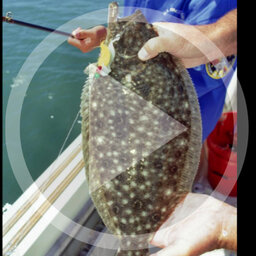 LISTEN: Fishing Report (01.08.20) Flounder still hot, redfish and trout-OK
