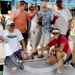 LISTEN: Fishing Report (10.02.19) - Kings, Spanish, grouper and sharks... all kinds coming in for Rodeo