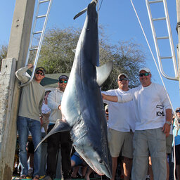 LISTEN: Fishing Report (03.11.20) Be rod ready for Cobia, Mako shark and more