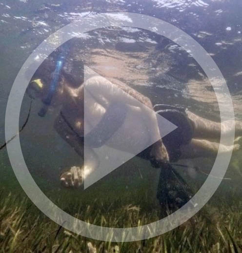 LISTEN: Fishing Report (08.23.19) Scallops are the  hot ticket item