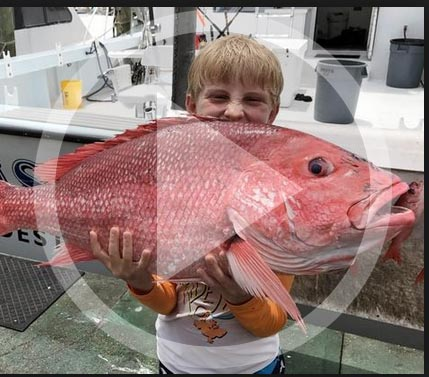 LISTEN: Fishing Report (05.28.19) - 'Red snapper is going to be like fleas on a dog's back.'