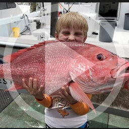 LISTEN: Fishing Report (05.28.19) - 'Red snapper is going to be like fleas on a dog's back.'
