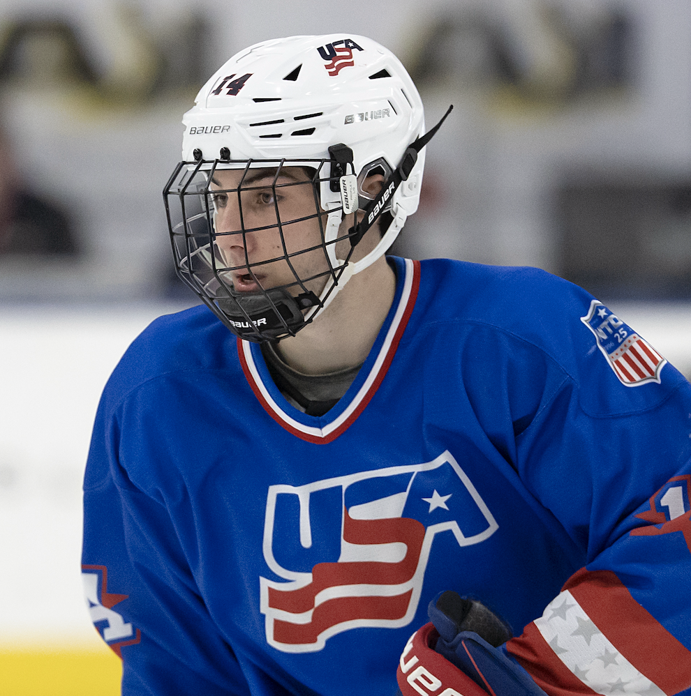 OctoPulse: Taking the pulse of the Red Wings rebuild