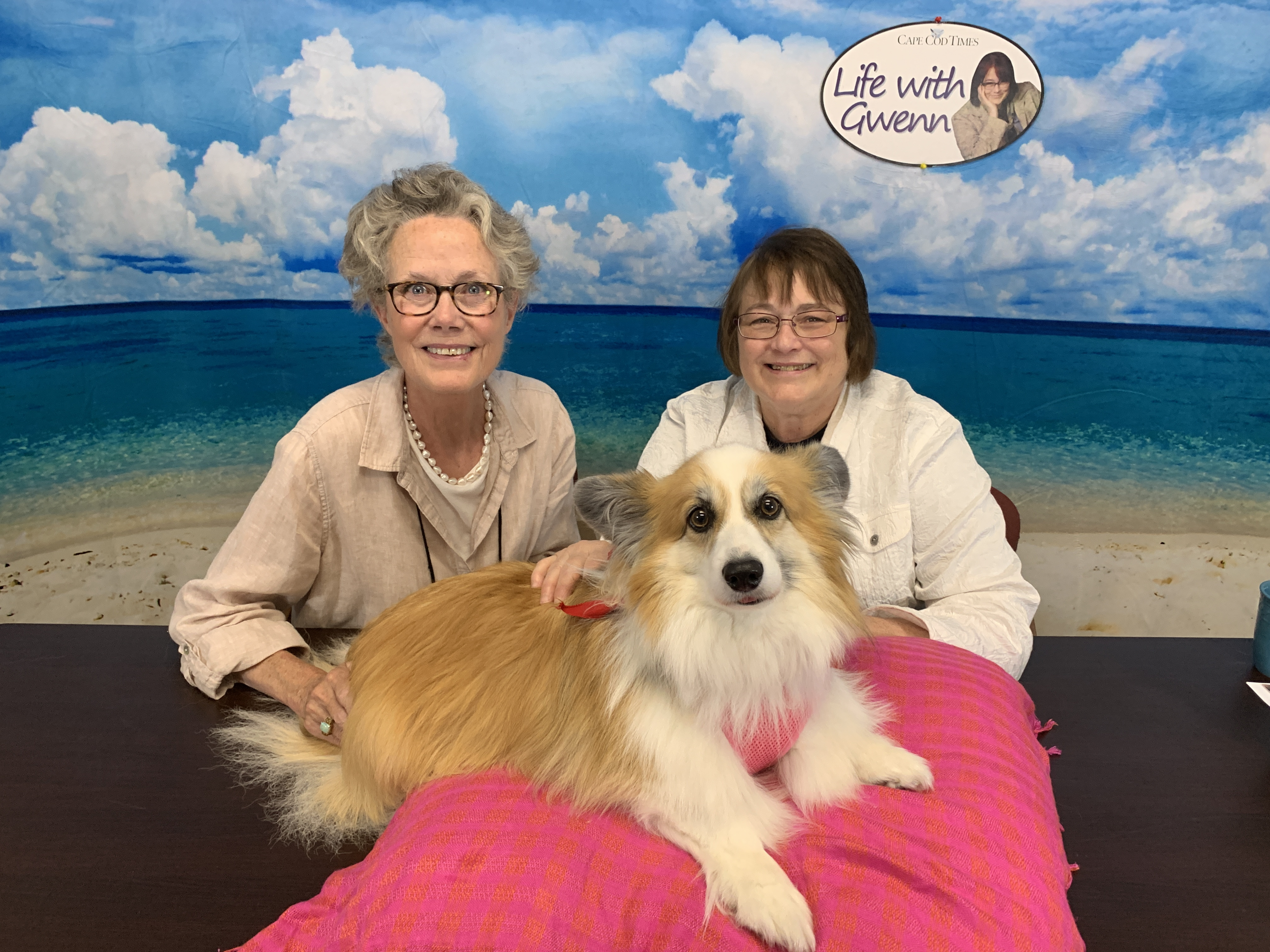 Find out what it takes to be a therapy dog on 'Life with Gwenn' episode artwork