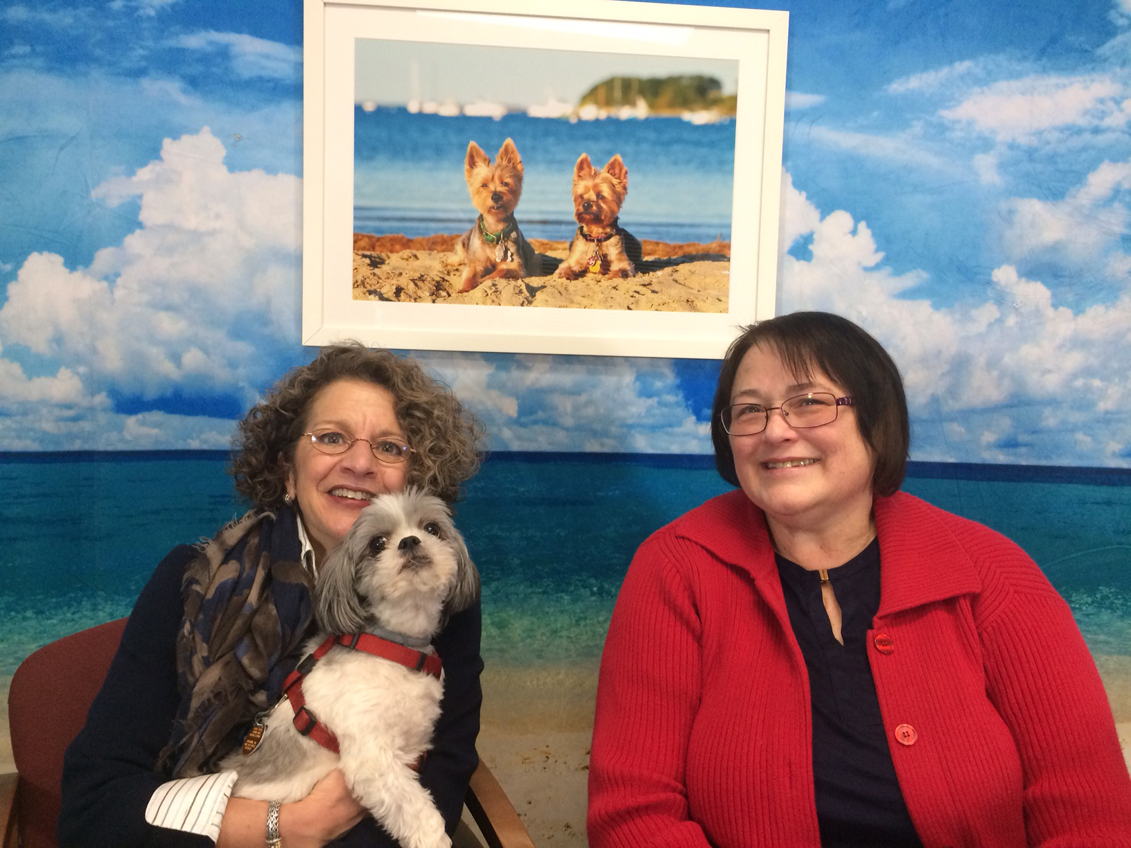 Taking pet pictures on "Life With Gwenn" episode artwork