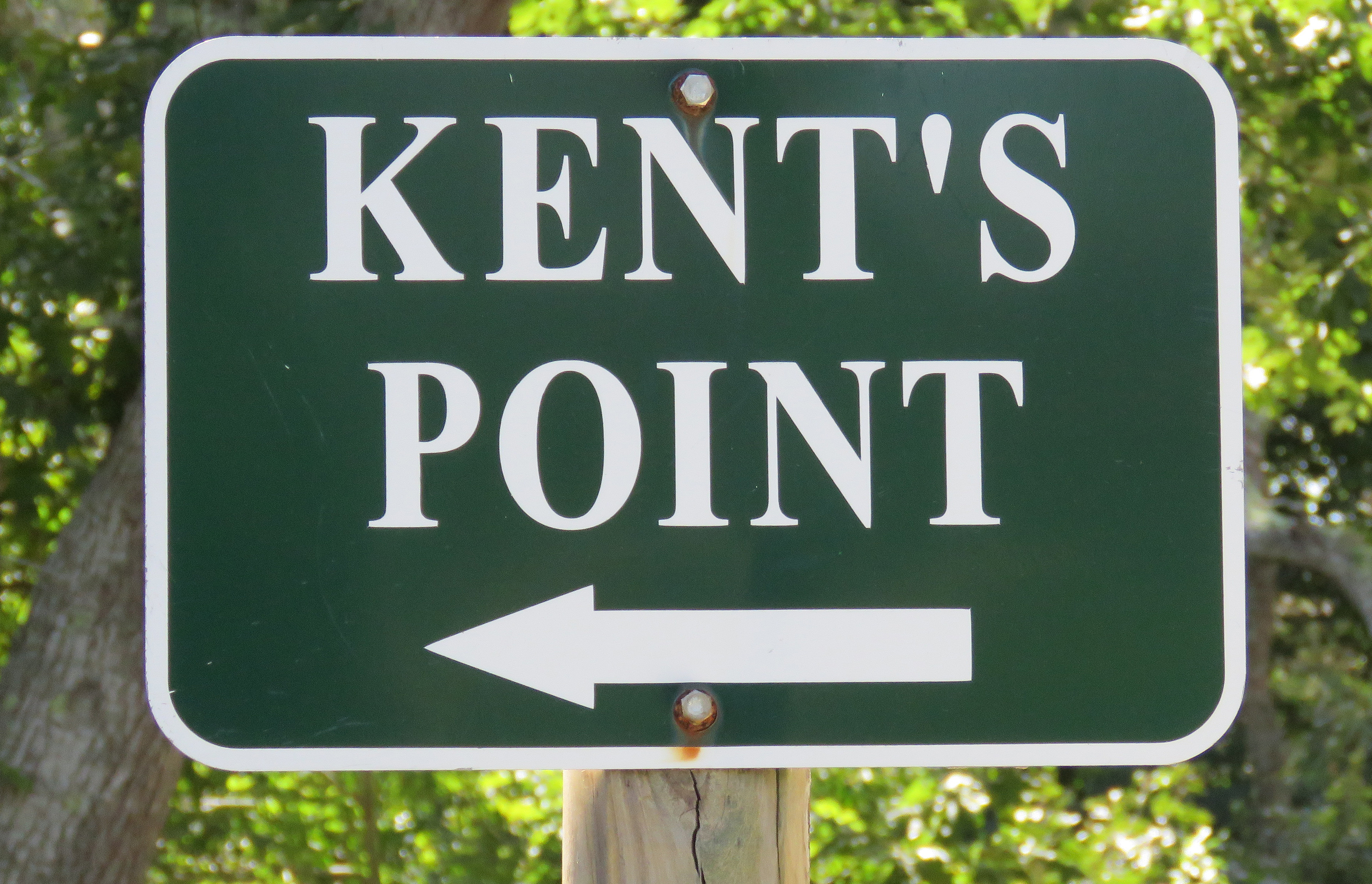 Hiking Kent's Point in Orleans! episode artwork
