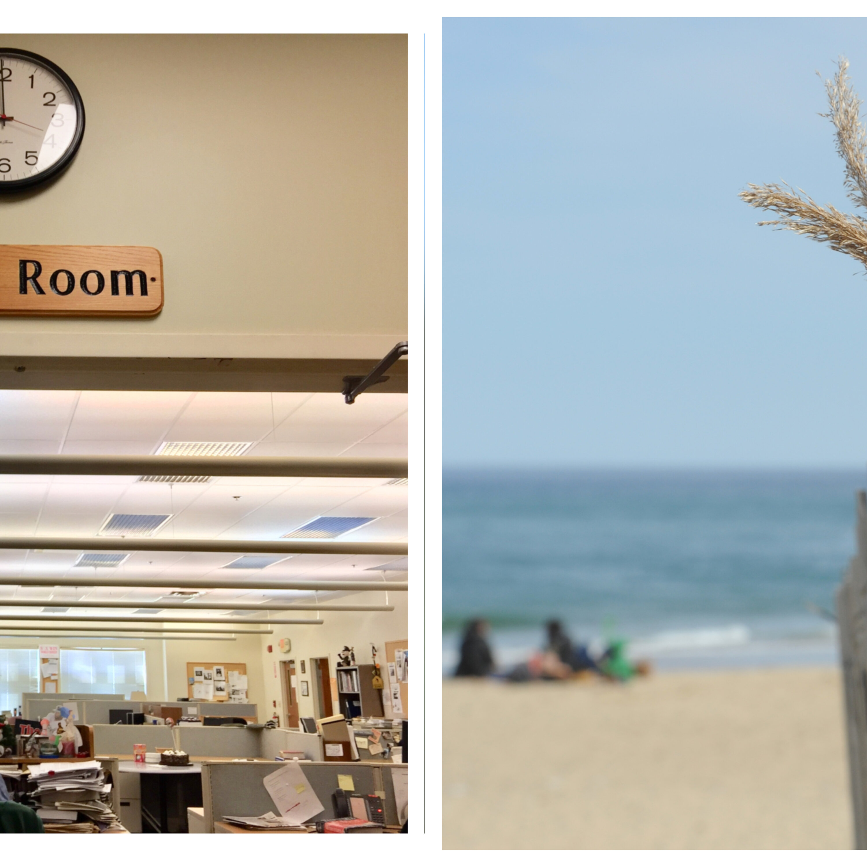 CCTLive: Eastham rescue effort, Wellfleet flats sale and more
