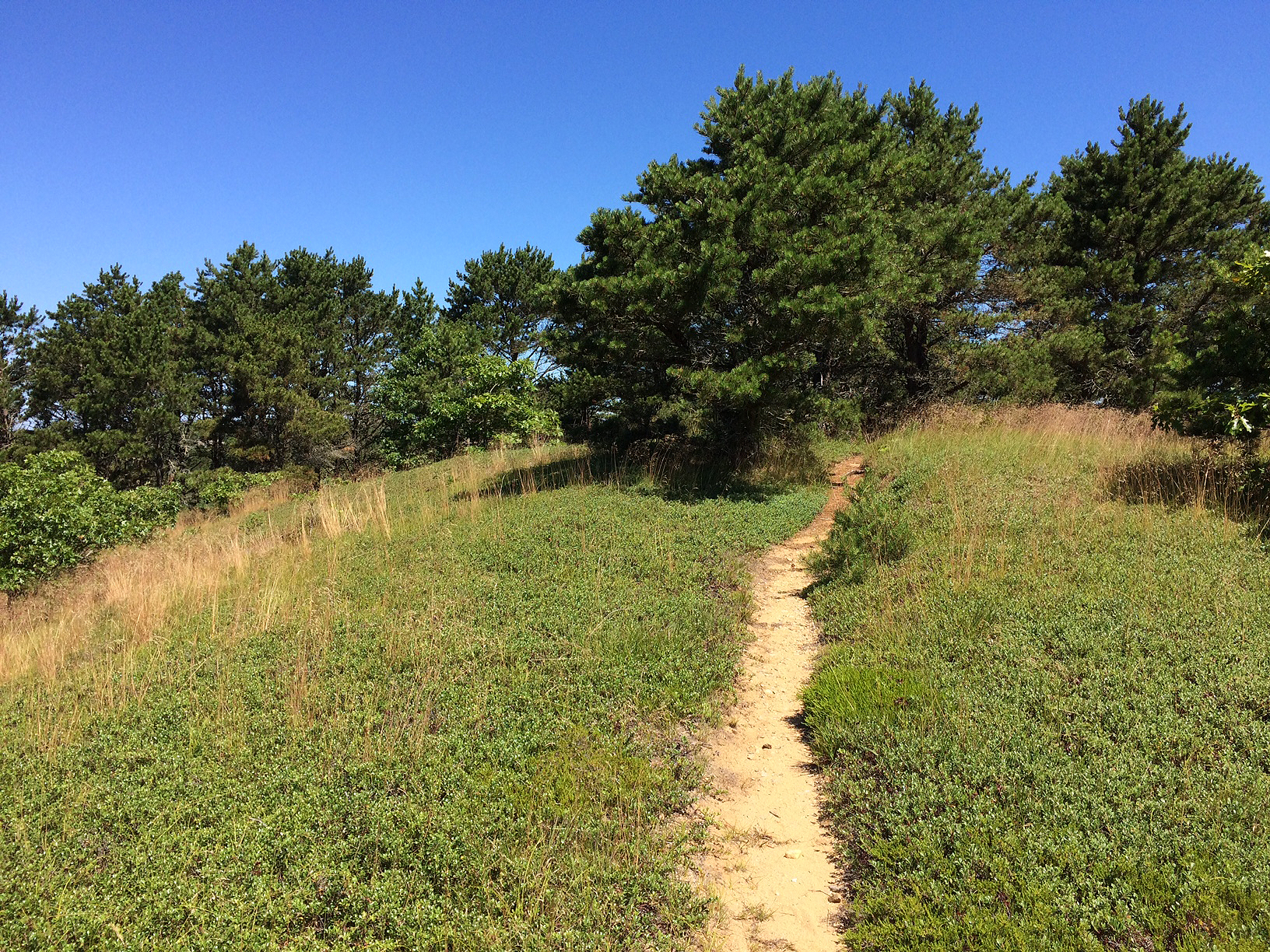 Guided hike at remote Bound Brook Island! episode artwork