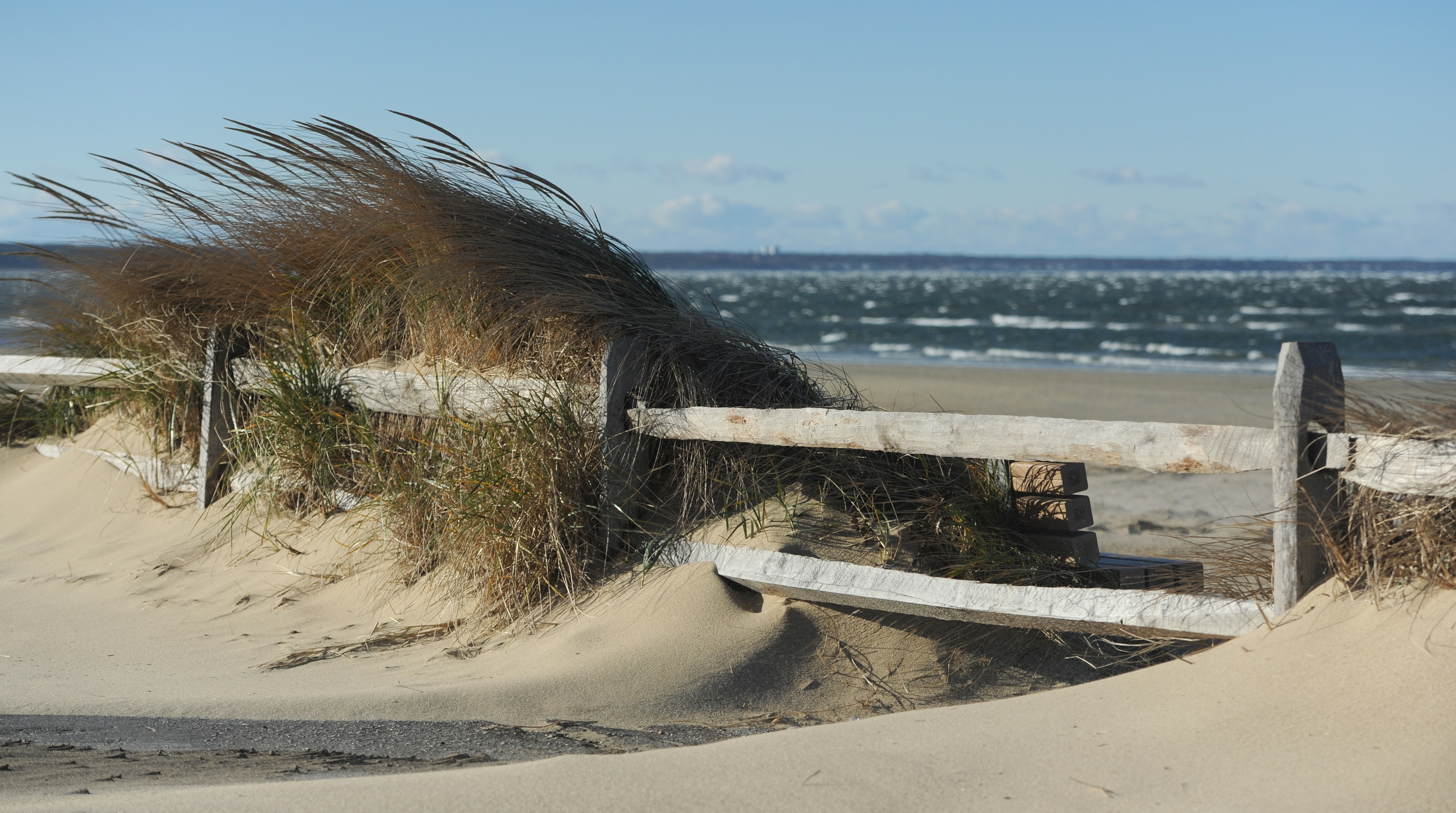 Fun Show:  Cape's best chowder, ultimate summer itinerary and more episode artwork