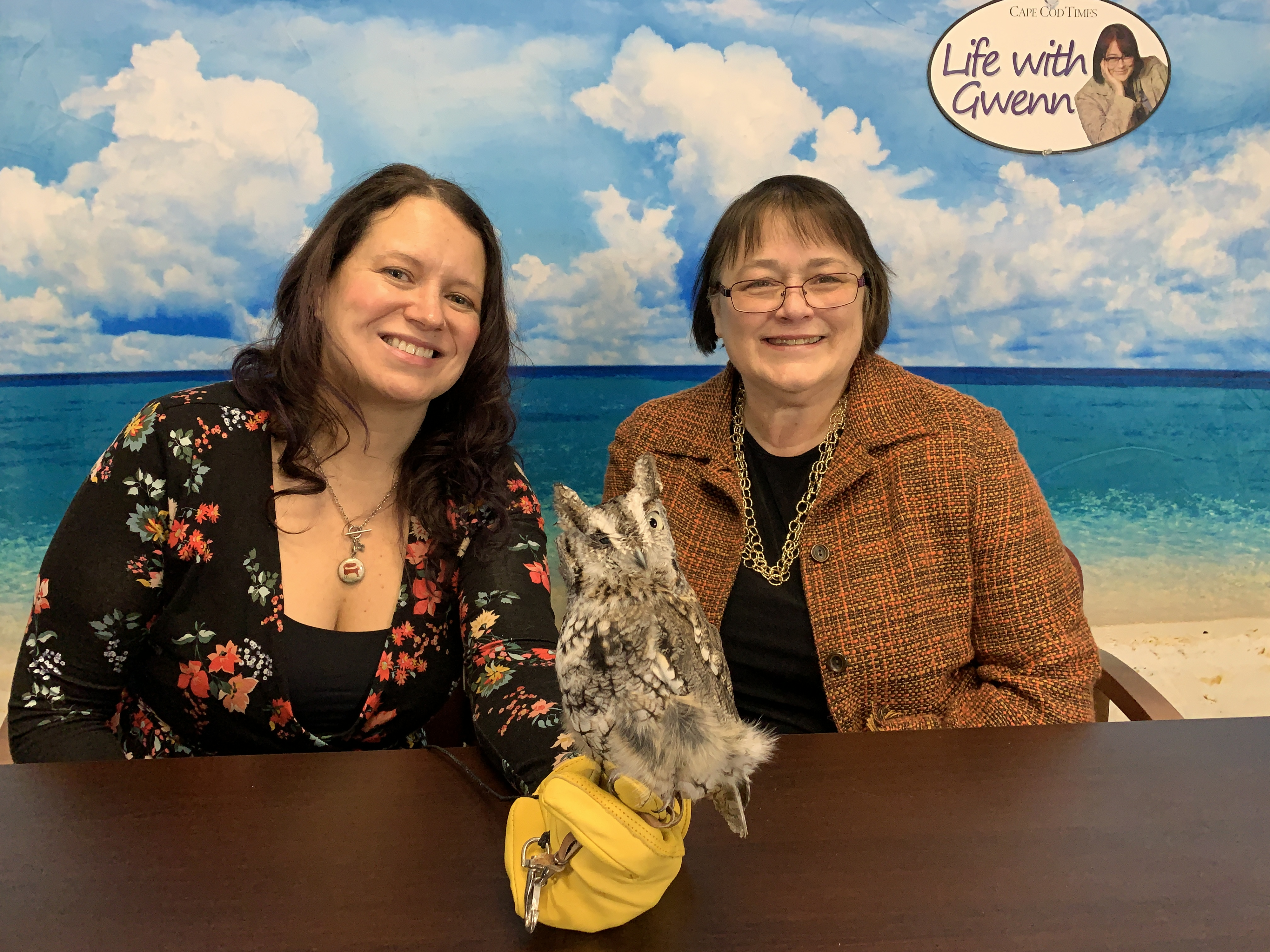 Owl at Wild Care Cape Cod visits 'Life With Gwenn' episode artwork