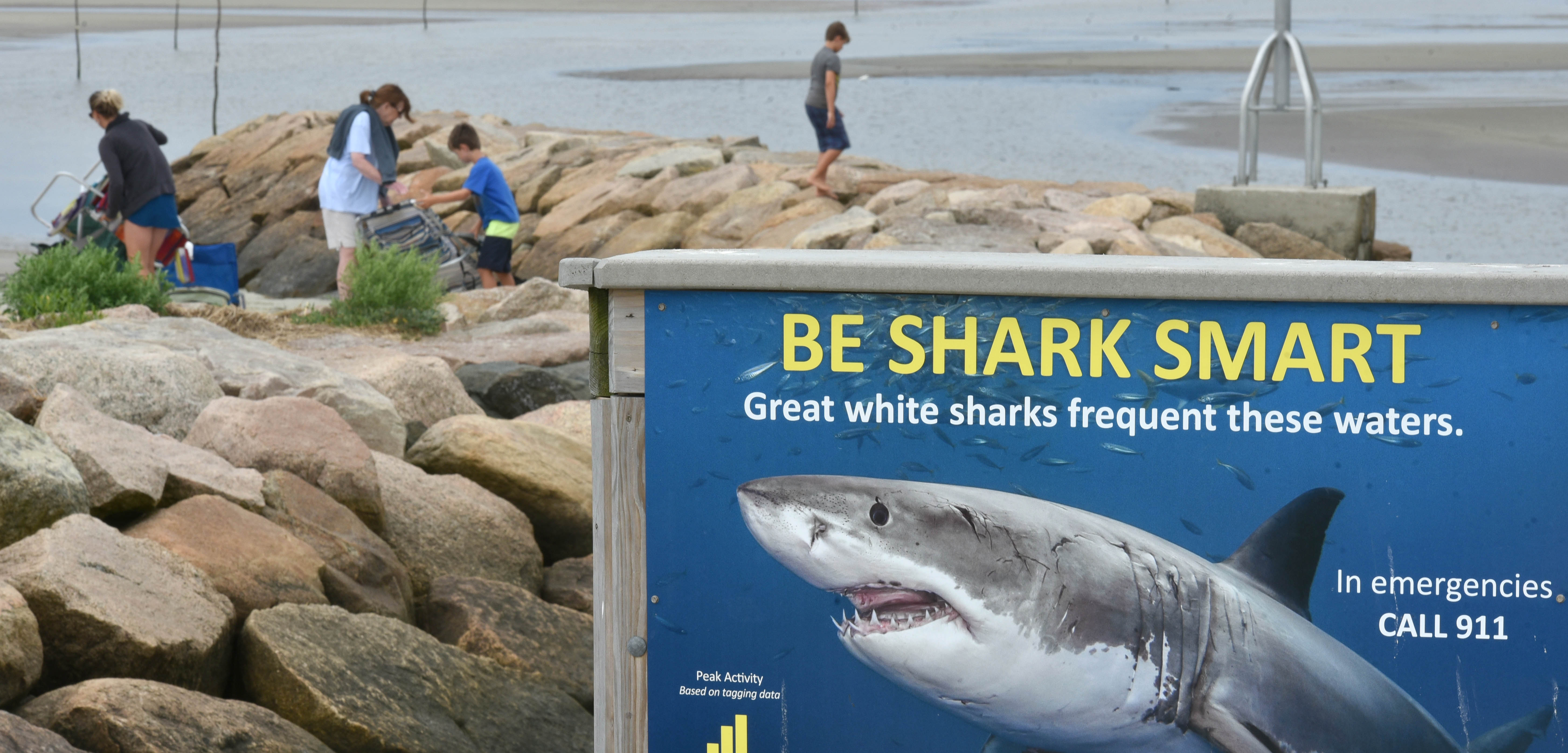 From The Newsroom: Cape Cod Times