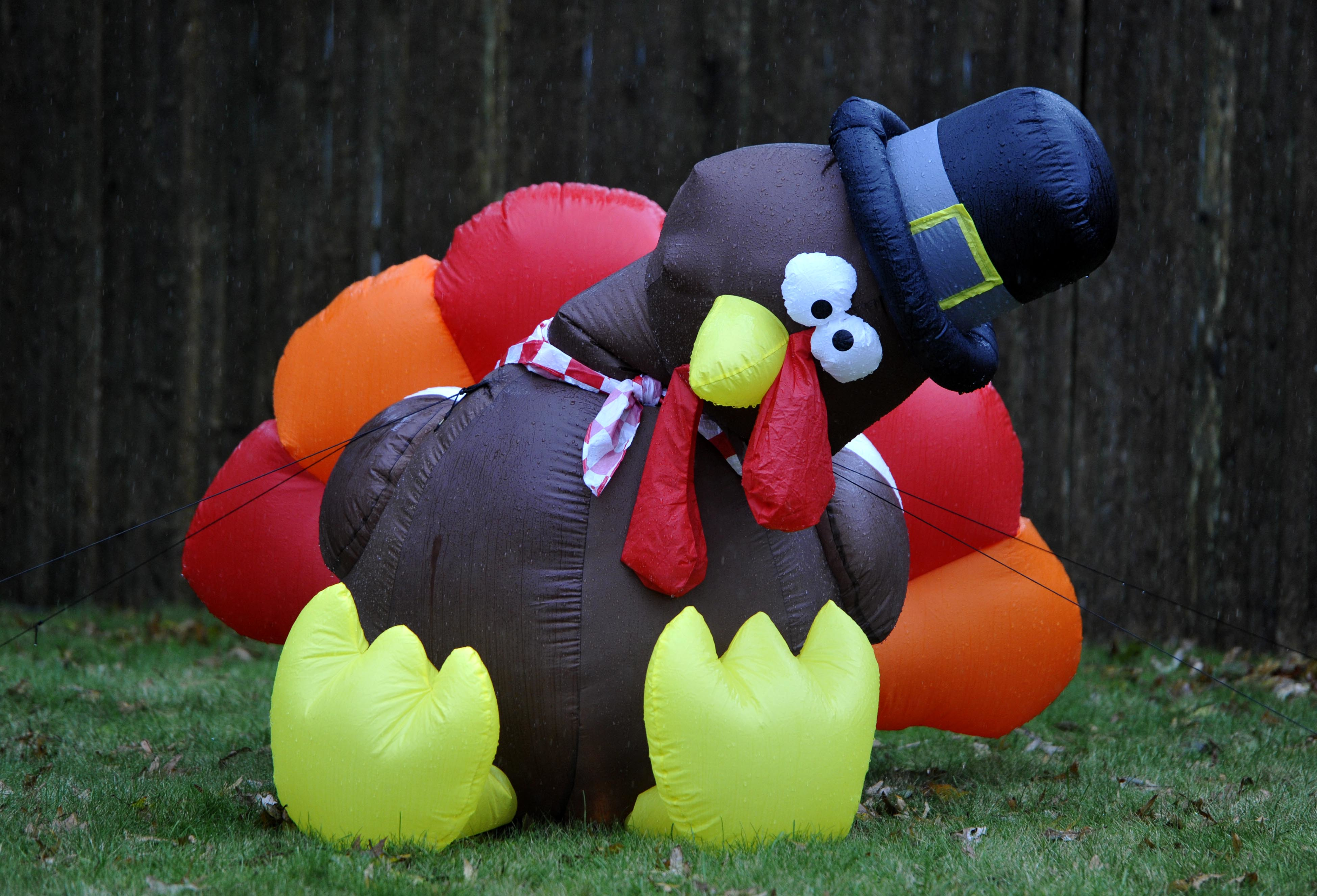 Fun Show 23: Thanksgiving mania! episode artwork