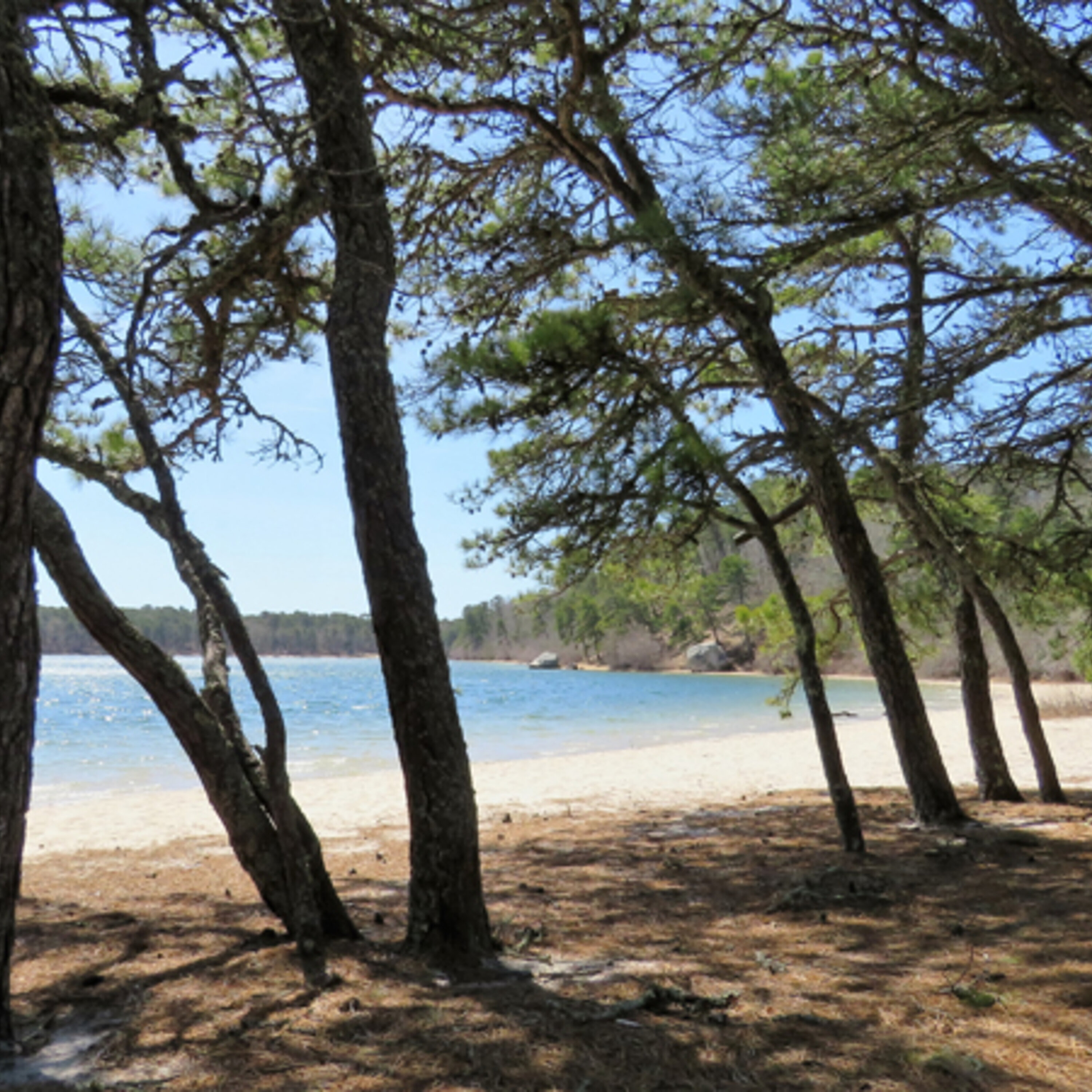 Our favorite winter hiking trail!