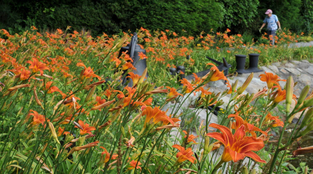 Spohr Gardens: Great spot for a beautiful stroll!