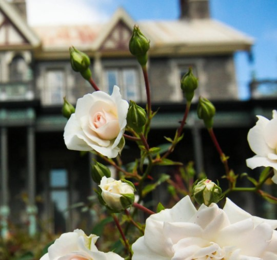 A ghostly tale: There's something about a ghost named Mary