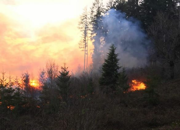 Listen: What led to a wildfire on the last day of winter episode artwork