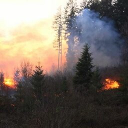Listen: What led to a wildfire on the last day of winter