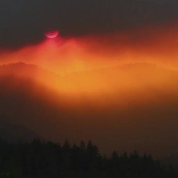 Listen: What was in the air to make Eugene hazy Monday