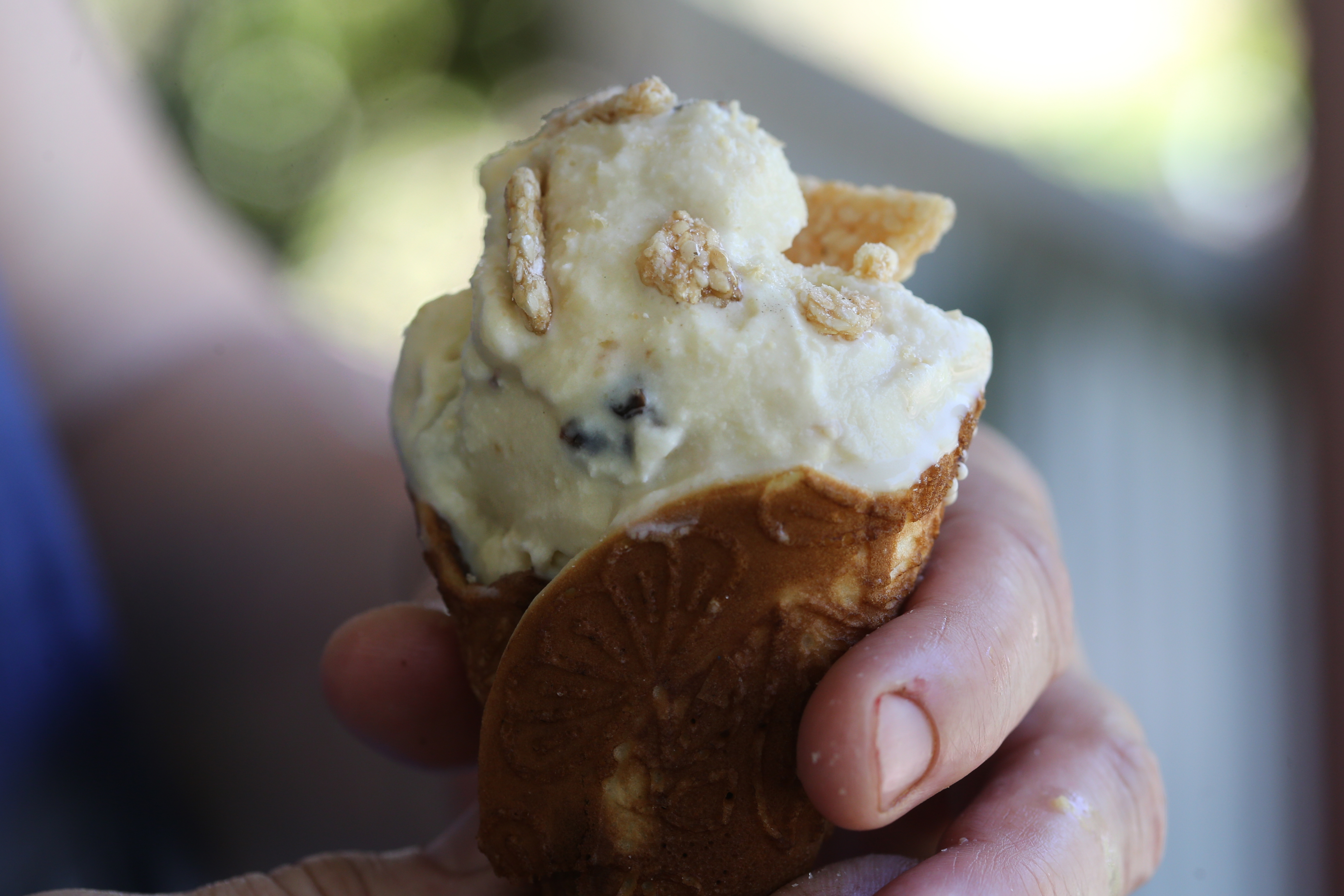 Homemade ice cream tips and tricks from Kim Davaz episode artwork