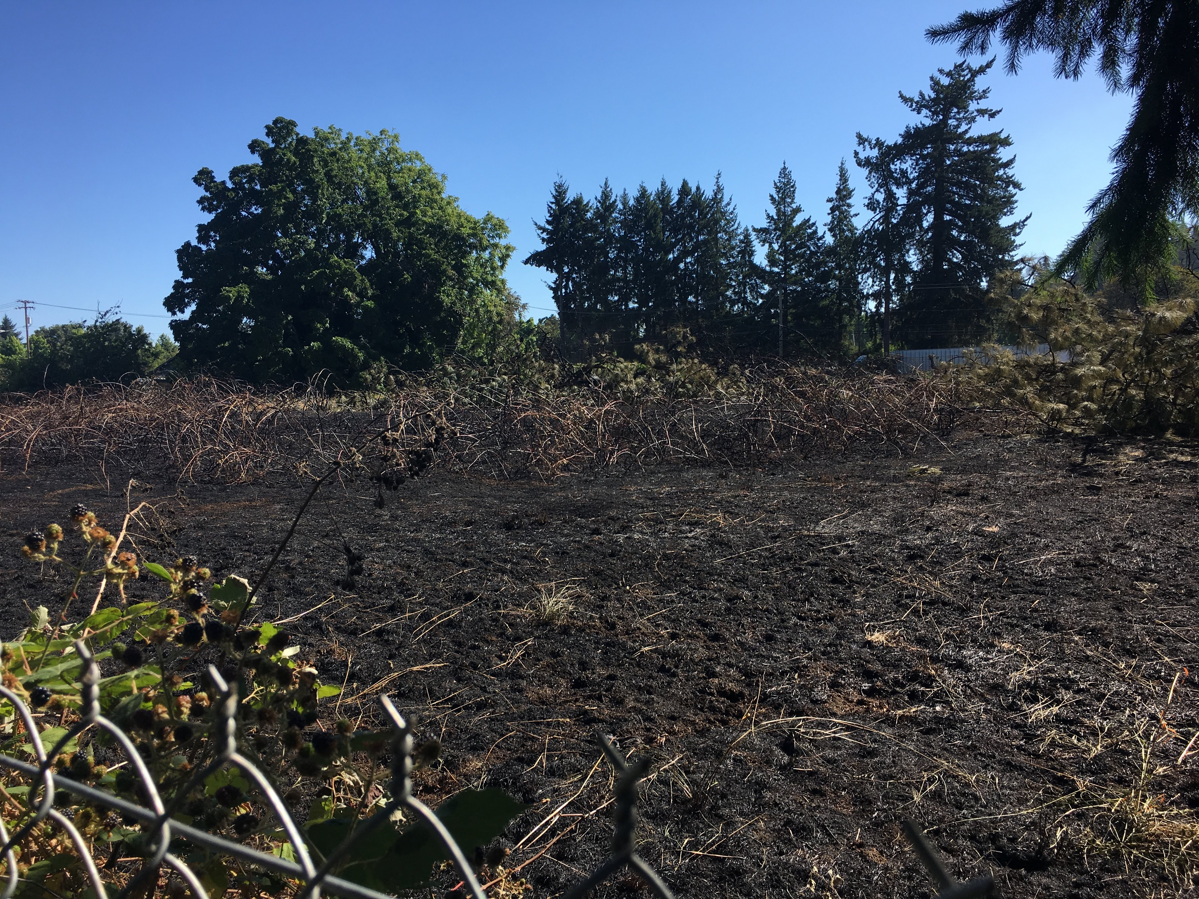Listen: Larry Hiers describes July 30 grass fire in Glenwood episode artwork