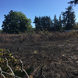 Listen: Larry Hiers describes July 30 grass fire in Glenwood