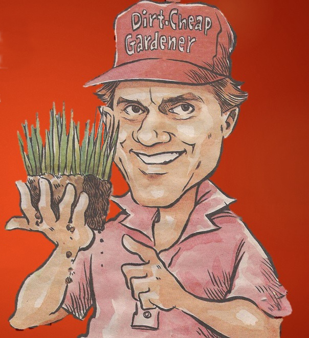 The Dirt-Cheap Gardener: Tomato diseases, insect pests and goats