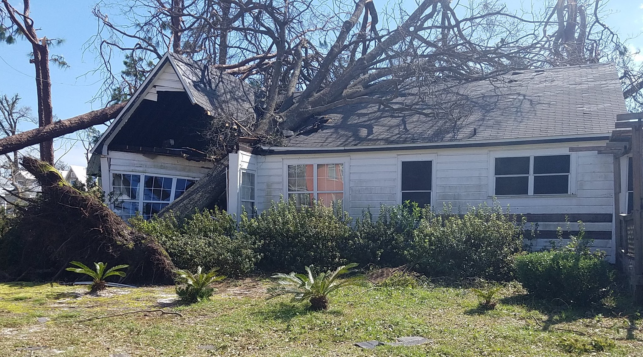 Hurricane Michael Survivors Share Their Stories pt. 11