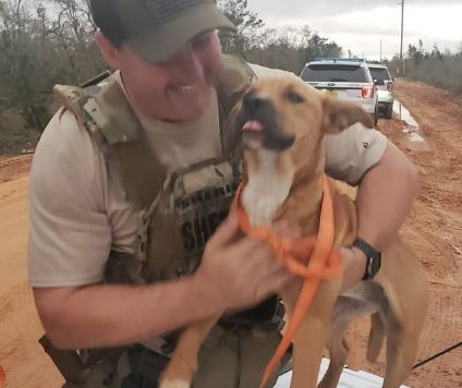 LISTEN: Puppy of homicide suspect, doing well according to BCSO episode artwork