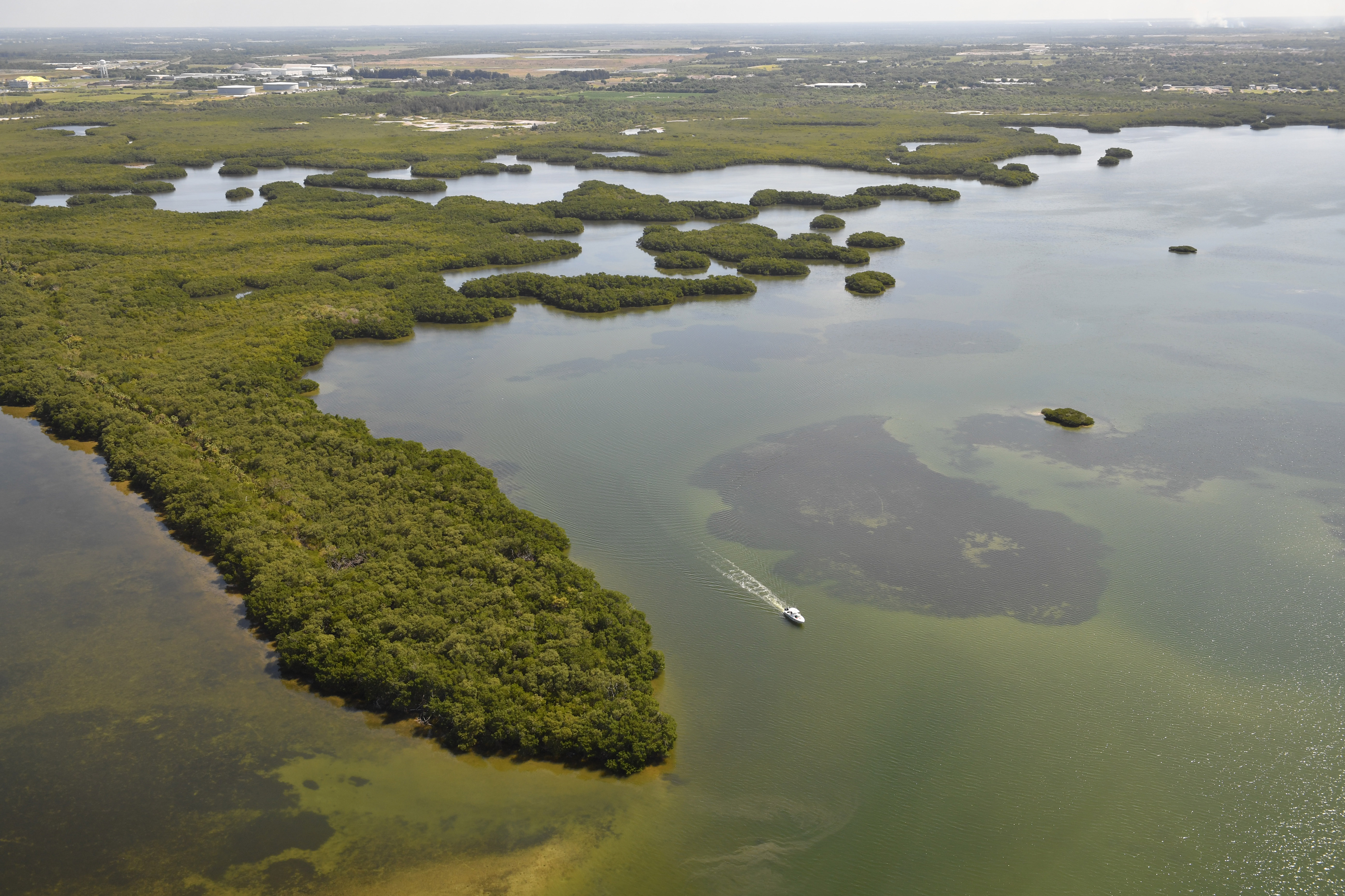 Environmental disaster at Piney Point